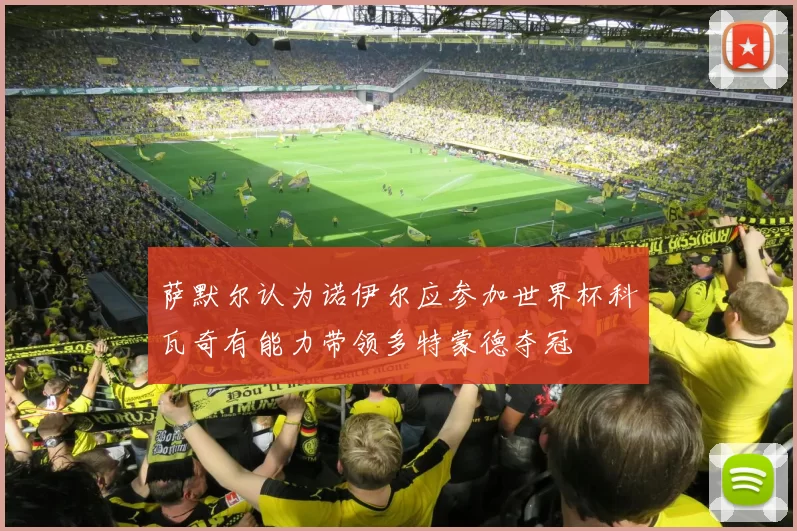 萨默尔认为诺伊尔应参加世界杯科瓦奇有能力带领多特蒙德夺冠